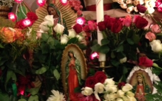 Our Lady of Guadalupe